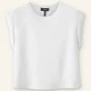Cotton Muscle Sweatshirt Tee