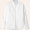 Crease Less Cotton Elastic Sleeve Shirt